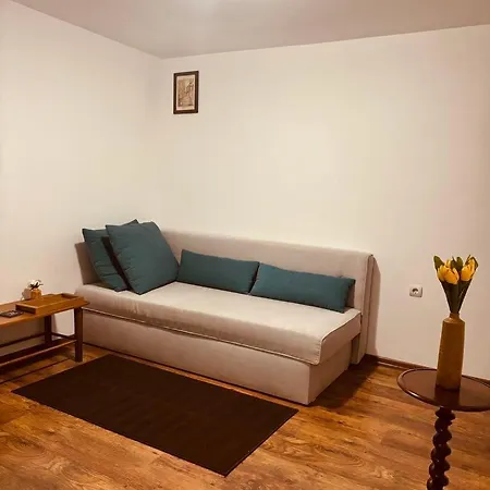 Apartament Spacious With A Mountain View, Big Balcony And Parking