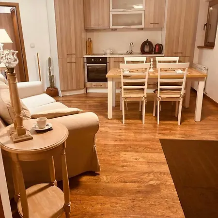 Spacious With A Mountain View, Big Balcony And Parking 소피아