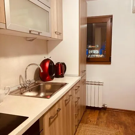 아파트 Spacious With A Mountain View, Big Balcony And Parking 소피아